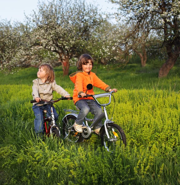 Hermanos montan en bicicletas — Foto de Stock