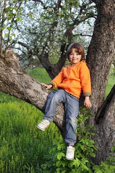 Gelukkige jongen op boom — Stockfoto