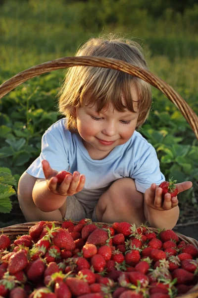 Fröhlicher Junge mit einem Korb voller Beeren — Stockfoto