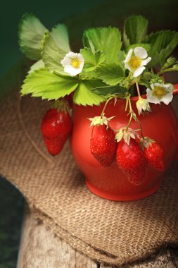 Olgun sulu çilek ve tahta üzerinde kabı