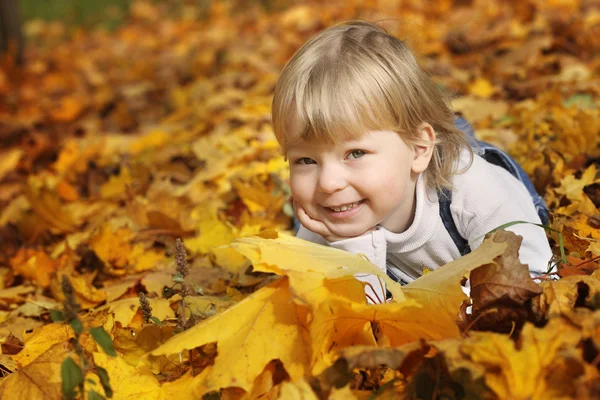 秋の葉の幸せな少年にあります。 ストックフォト