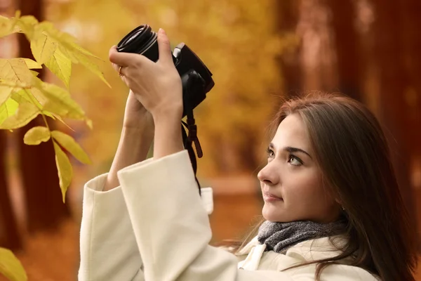 Flicka med kamera i höst skog — Stockfoto