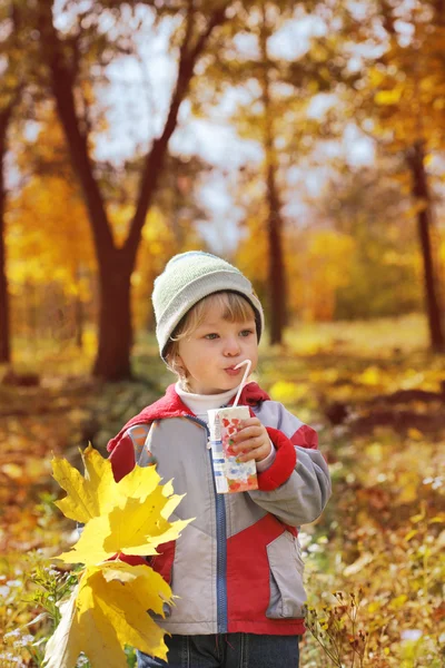 Счастливый мальчик в листьях осенней лжи — стоковое фото