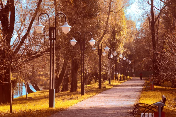 Аллея осеннего парка со скамейкой — стоковое фото