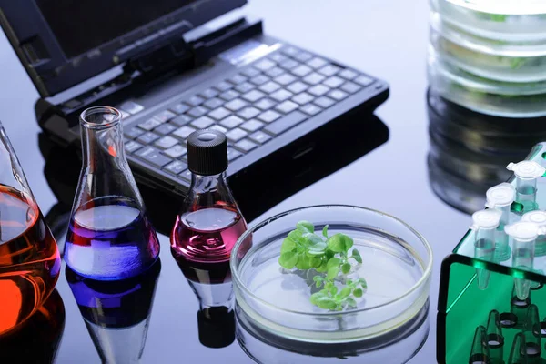 Retortot Flaskát Csepegtetőt Kémcsövet Üvegasztalon Kék Folyadékkal Kék Háttéren Laboratóriumi — Stock Fotó