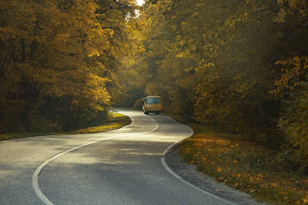 Cesta Školním Autobusem Krásném Podzimním Lese Při Západu Slunce — Stock fotografie