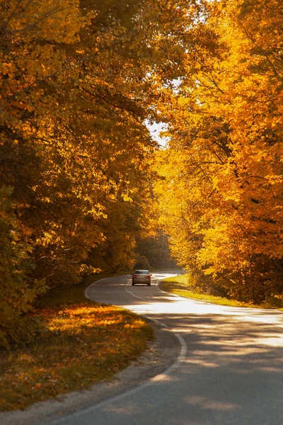 Estrada Rual Sinuosa Com Carro Dentro Floresta Outono Colorido — Fotografia de Stock