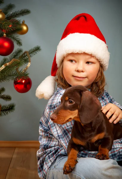 Pojke Leker Inomhus Med Hund Nära Julgran — Stockfoto