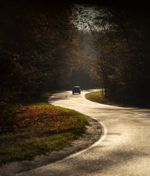 Vinutí Ruální Silnice Autem Uvnitř Barevného Podzimního Lesa — Stock fotografie