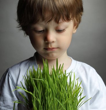 Çocuk elinde bir saksı filizlenmiş ot tutuyor. Gri arkaplanda yakın plan