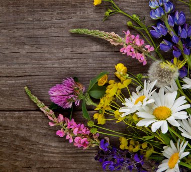 Eski grunge ahşap arka planda yabani çiçekler (papatya lupin karahindiba kekik çiçekleri nane çanları tecavüz).