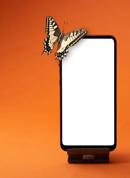 Monarch Butterfly Sienta Teléfono Inteligente Sobre Fondo Naranja Imagen de archivo