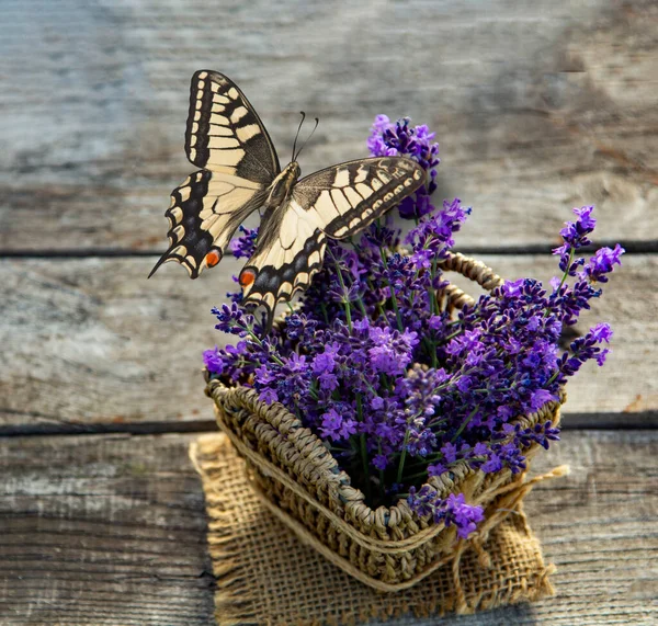 Schmetterling Auf Frischer Lavendelblüte Auf Holztisch Sommer Blume Hintergrund — Stockfoto
