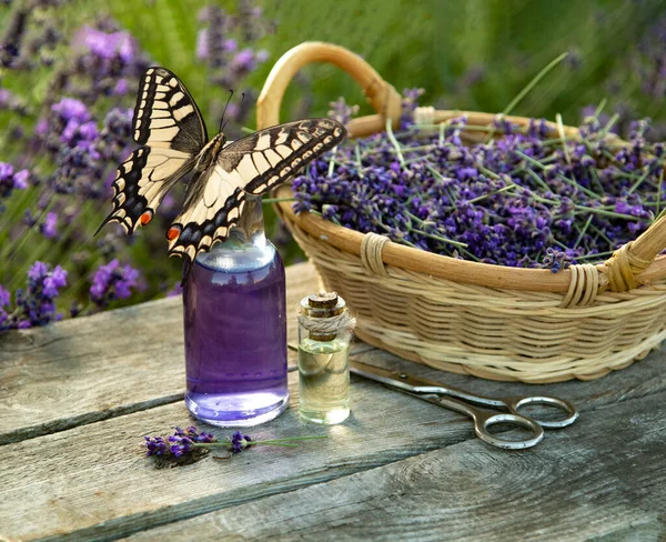 蝴蝶在玻璃瓶上的薰衣草精油放在木桌和花坛上 薰衣草油毡 — 图库照片