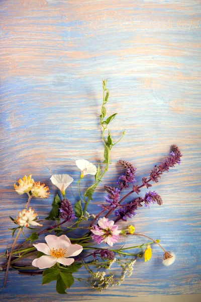 Fleurs Sur Fond Vieux Grunge Bleu Bois Pissenlits Thym Menthe — Photo