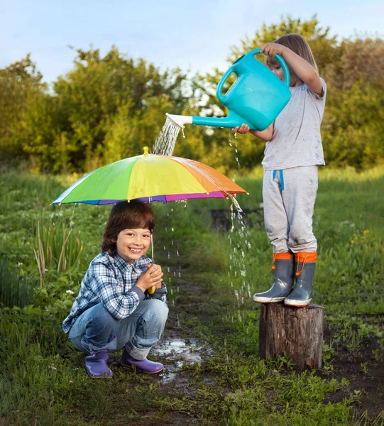 Two Brothers Play Rain Outdoors — Stock Photo, Image