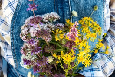 Bir buket kır çiçeği tutan bir kadın eli.