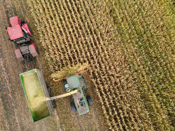 Mähdrescher Ernten Goldene Reife Maisfelder Hintergrund Landwirtschaft Von Oben Luftaufnahme lizenzfreie Stockbilder