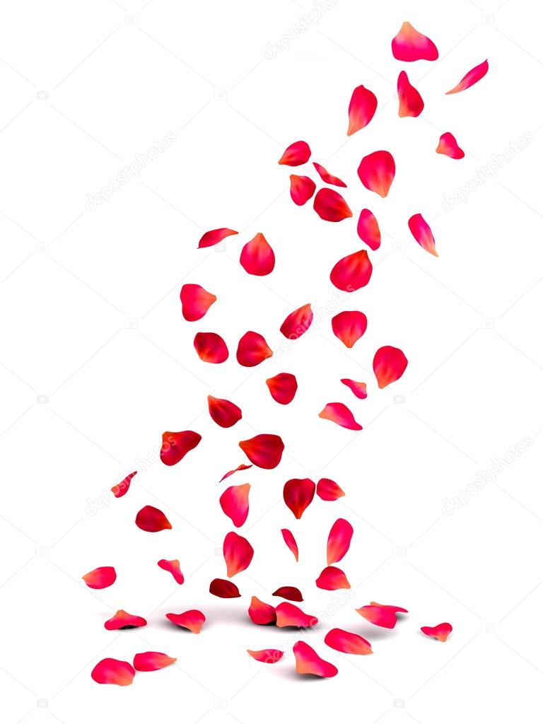 Falling Rose Petals Stock Photo Image By C Serggod