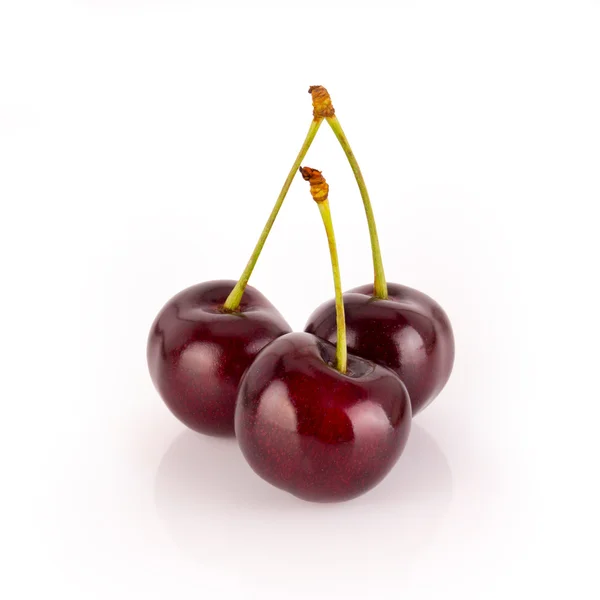Cherry — Stock Photo, Image
