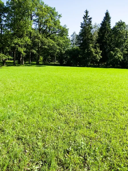 Krajobraz skąpany w słońcu trawniku i niebieski niebo — Zdjęcie stockowe