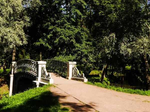 공원에 있는 다리 — 스톡 사진