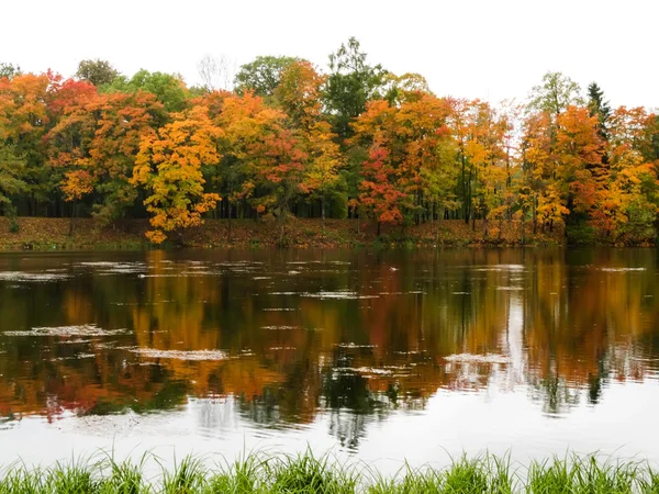 Paesaggio d'autunno — Foto Stock