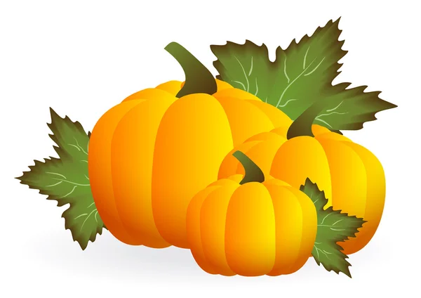 Calabaza — Vector de stock