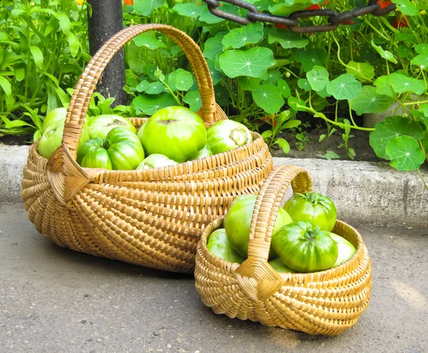 Tomates em uma cesta — Fotografia de Stock