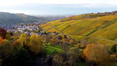 Üzüm bağları üzerinde İHA uçurmak, Remstal, Almanya