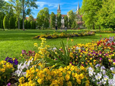 Kale ve Park Hofgarten Almanya 'nın Oeringen şehrinde