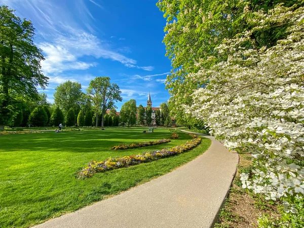 Slott Med Park Hofgarten Staden Oeringen Tyskland — Stockfoto