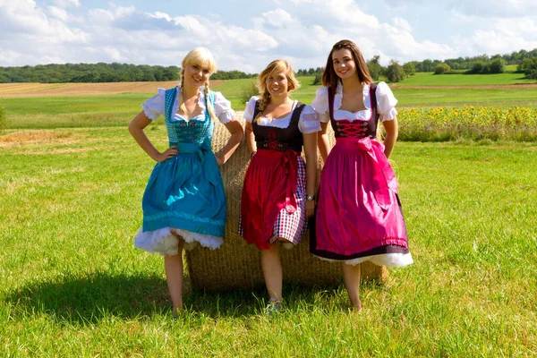 Three Cheerful Girls Colorful Dirndl — Fotografia de Stock