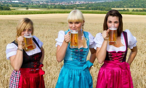 Tres Chicas Dirndl Colorido Beber Cerveza Campo — Foto de Stock