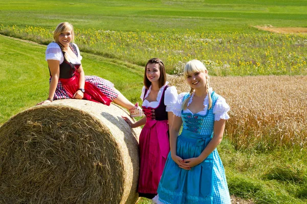 Tres Mujeres Jóvenes Campo Con Una Paca Paja — Foto de Stock