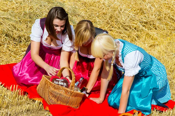 藁の中にピクニックを持っている3人の女の子 — ストック写真