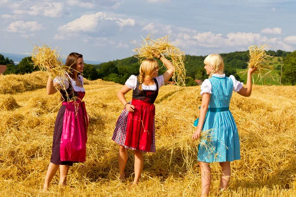 Three Young Women Colorful Dirndls — ストック写真