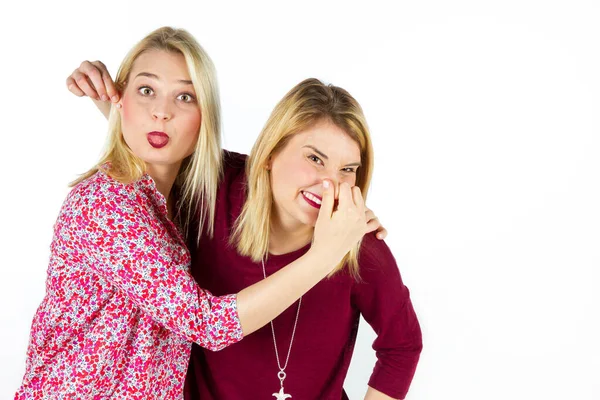 Two Sisters Having Fun — Stock Photo, Image