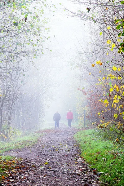 Walking Foggy Autumn Day — Foto de Stock