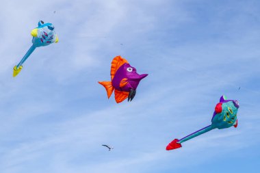 Colorful fish kites in autumn sky