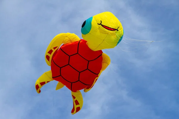 Colorful Funy Turtle Kite Autumn Sky lizenzfreie Stockfotos