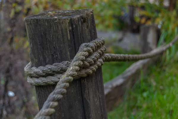 緑の芝生の背景にロープと古代の中世の木製の棒 — ストック写真