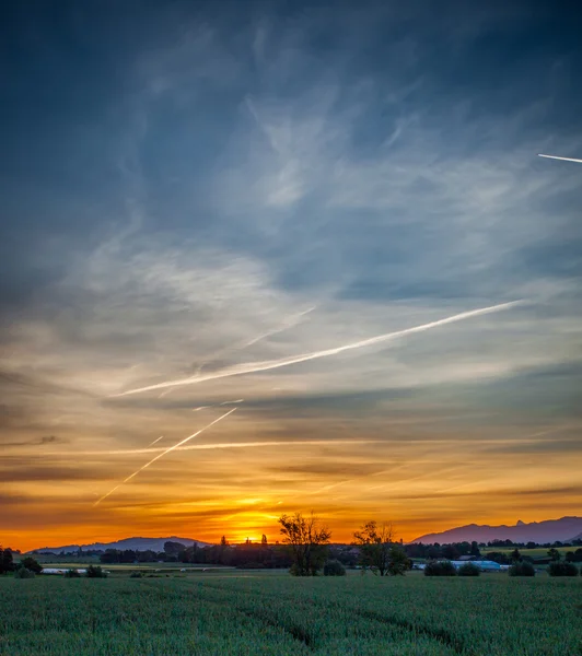 Vete och soluppgång — Stockfoto