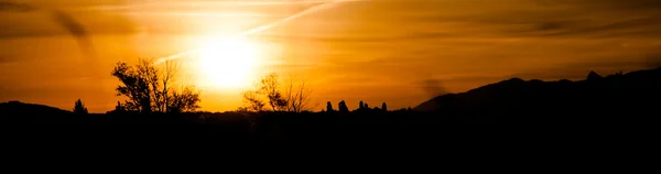 Wheat and Sunrise — Stock Photo, Image