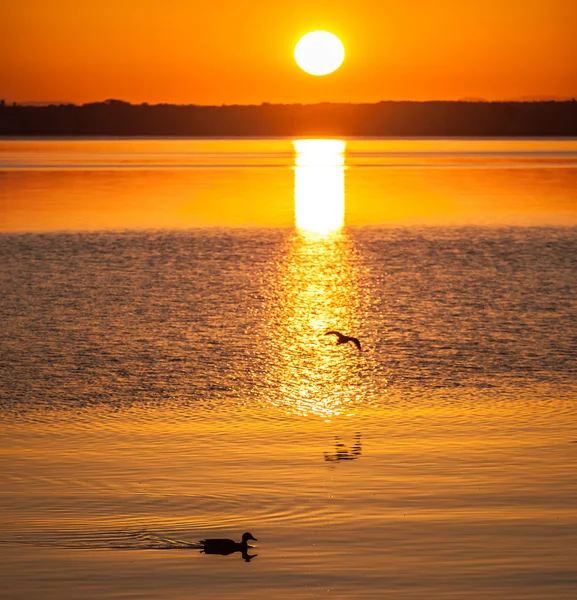 Soluppgång vid sjön — Stockfoto