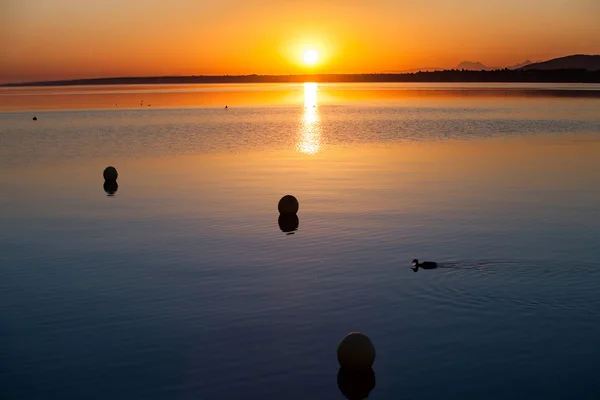 Lever de soleil au lac Léman — Photo