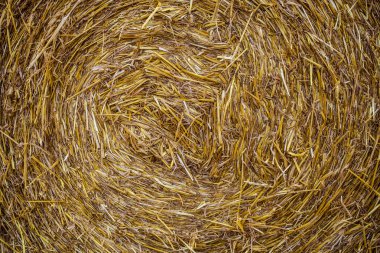 buğday bale ve fırtına bulutları