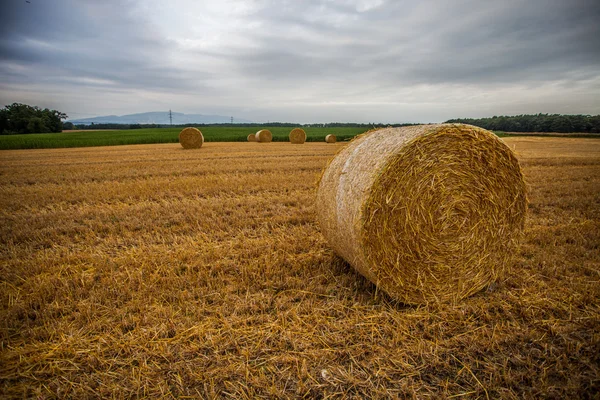 Tarwe bale en storm wolken — Stockfoto