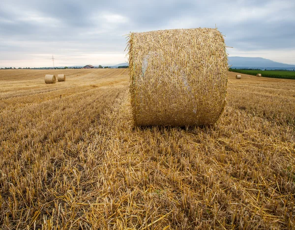 Tarwe bale en storm wolken — Stockfoto