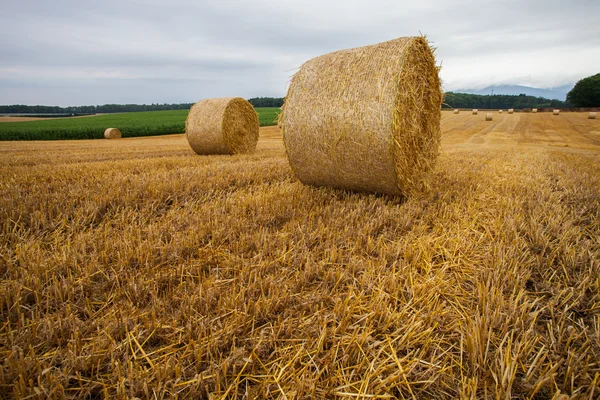 Pšenice bale a bouřkové mraky — Stock fotografie